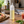 Napoleone Squeeze Bottle
